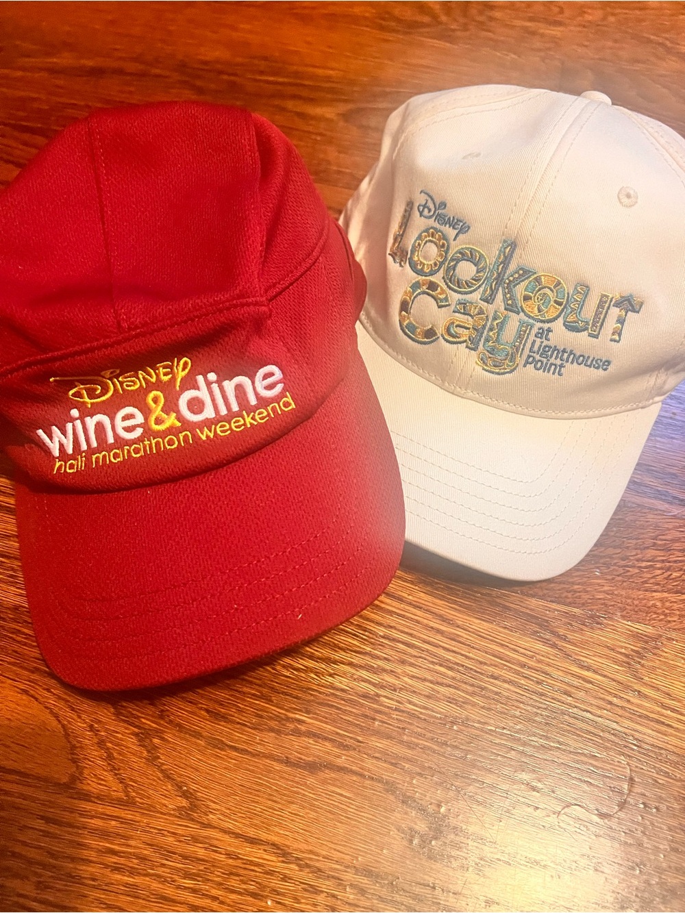Lot of 2 Disney Souvenir Hats